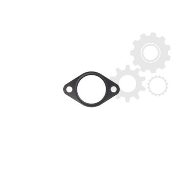 Garnitura supapa EGR