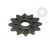 Pinion fata