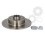 Brake disk with bearing