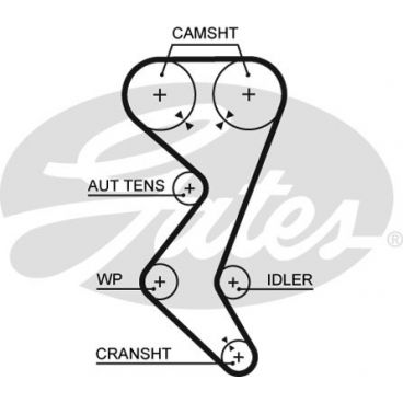 Curea distributie