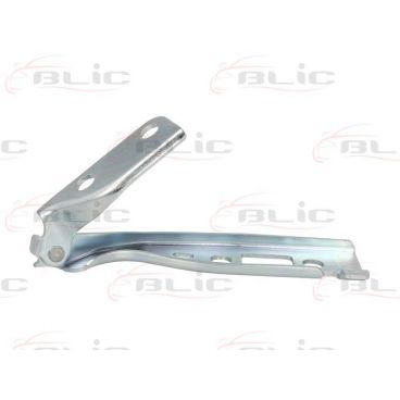 Elemente capota motor