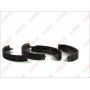 Sabot frana