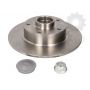 Brake disk with bearing