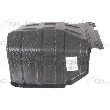 Scut motor/cutie viteze