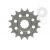 Pinion fata