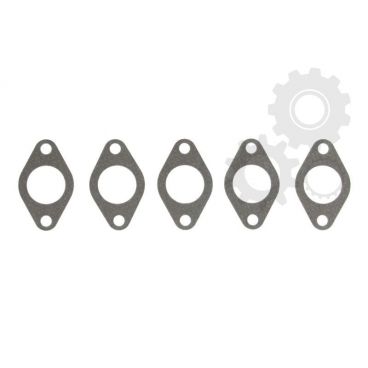 Garnitura supapa EGR