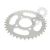 Pinion spate