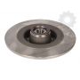 Brake disk with bearing