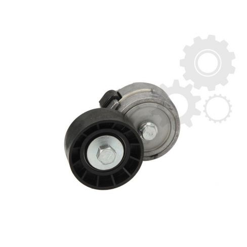 Intinzator curea Intinzator curea