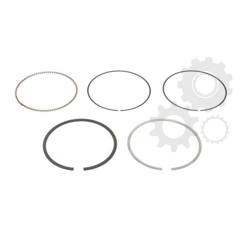 Segmenti piston