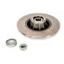 Brake disk with bearing