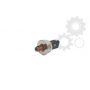 Element al unui sistem CR