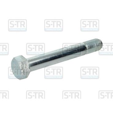 Leaf spring bolt