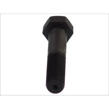 Raw Hex bolts
