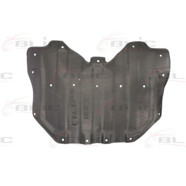 Scut motor/cutie viteze