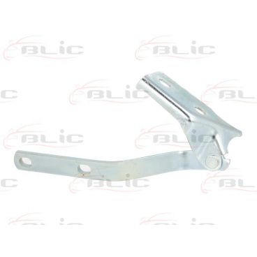 Elemente capota motor