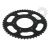 Pinion spate