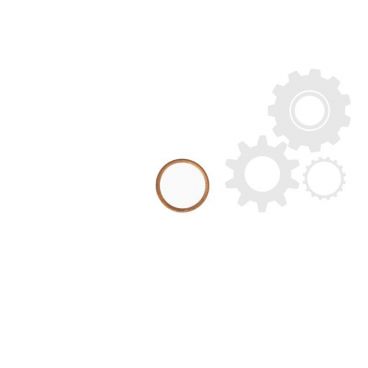 Garnitura buson ulei