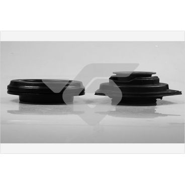 Amortizor suspensie Mc Pherson