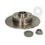 Brake disk with bearing