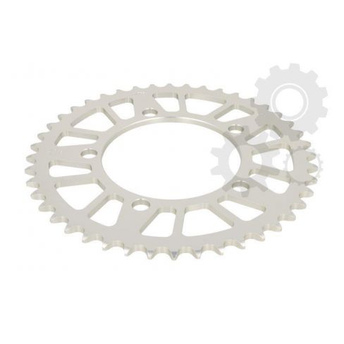 Pinion spate
