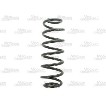 Arc suspensie axa spate