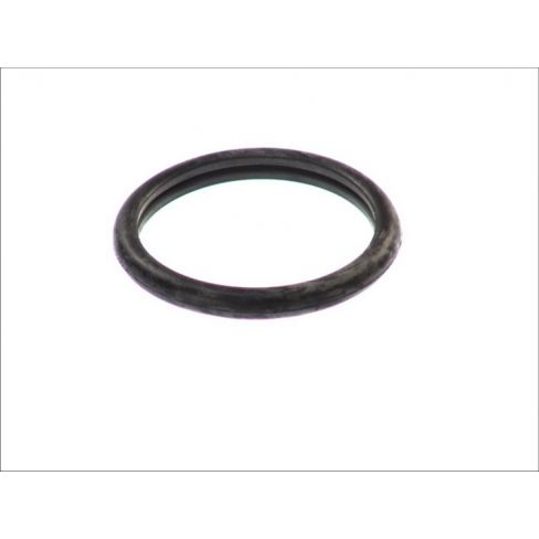 Garnitura termostat Garnitura termostat