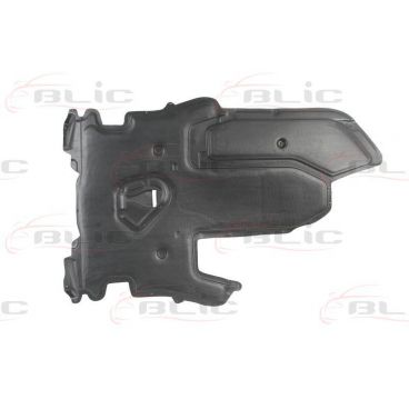 Scut motor/cutie viteze