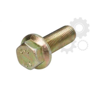 Raw Hex bolts