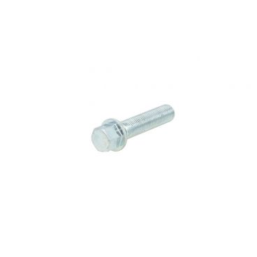 Wheel bolt