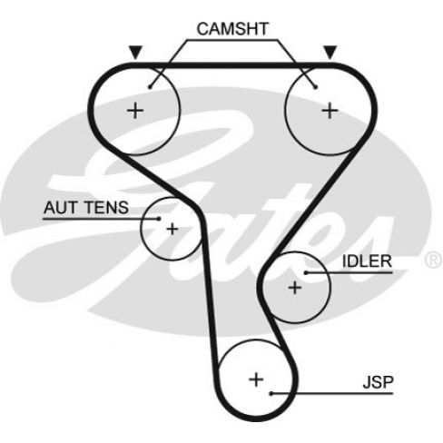 Curea distributie
