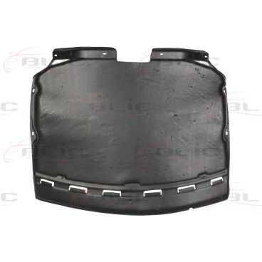 Scut motor/cutie viteze