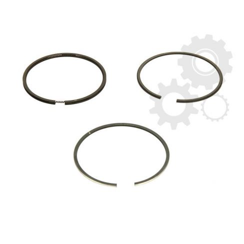 Segmenti piston