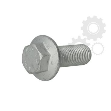 Raw Hex bolts