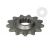 Pinion fata