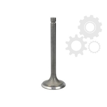 Supape/pastile reglaj