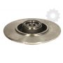 Brake disk with bearing