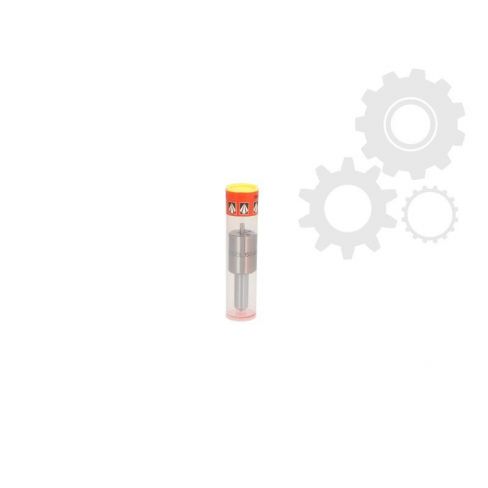 Duza injector