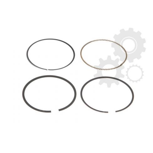 Segmenti piston