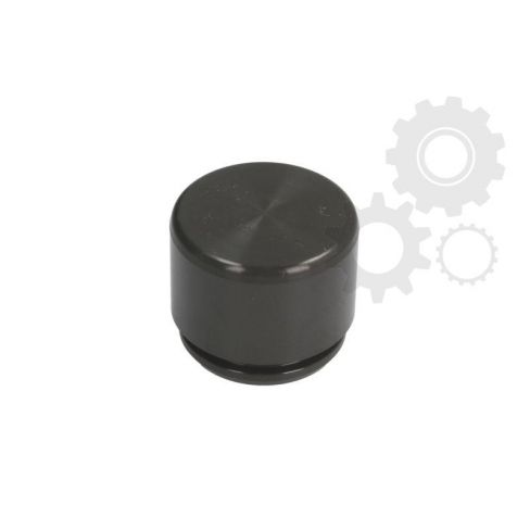 Piston etrier Piston etrier