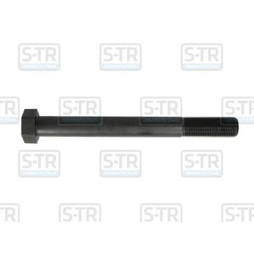 Leaf spring bolt