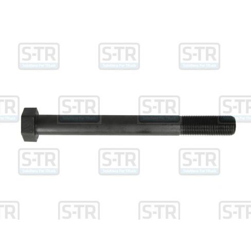 Leaf spring bolt