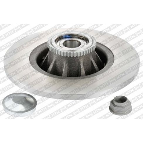 Brake disk with bearing
