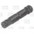 Leaf spring bolt