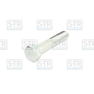 Galvanized Hex bolts