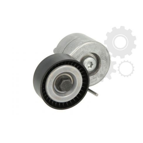 Intinzator curea Intinzator curea