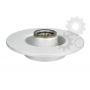 Brake disk with bearing