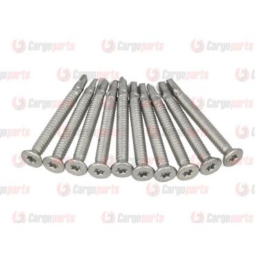 Galvanized screws