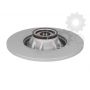 Brake disk with bearing