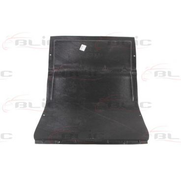 Scut motor/cutie viteze